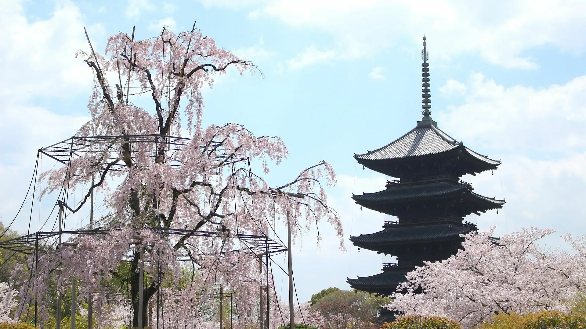 Stay Sakura Kyoto Toji South II
