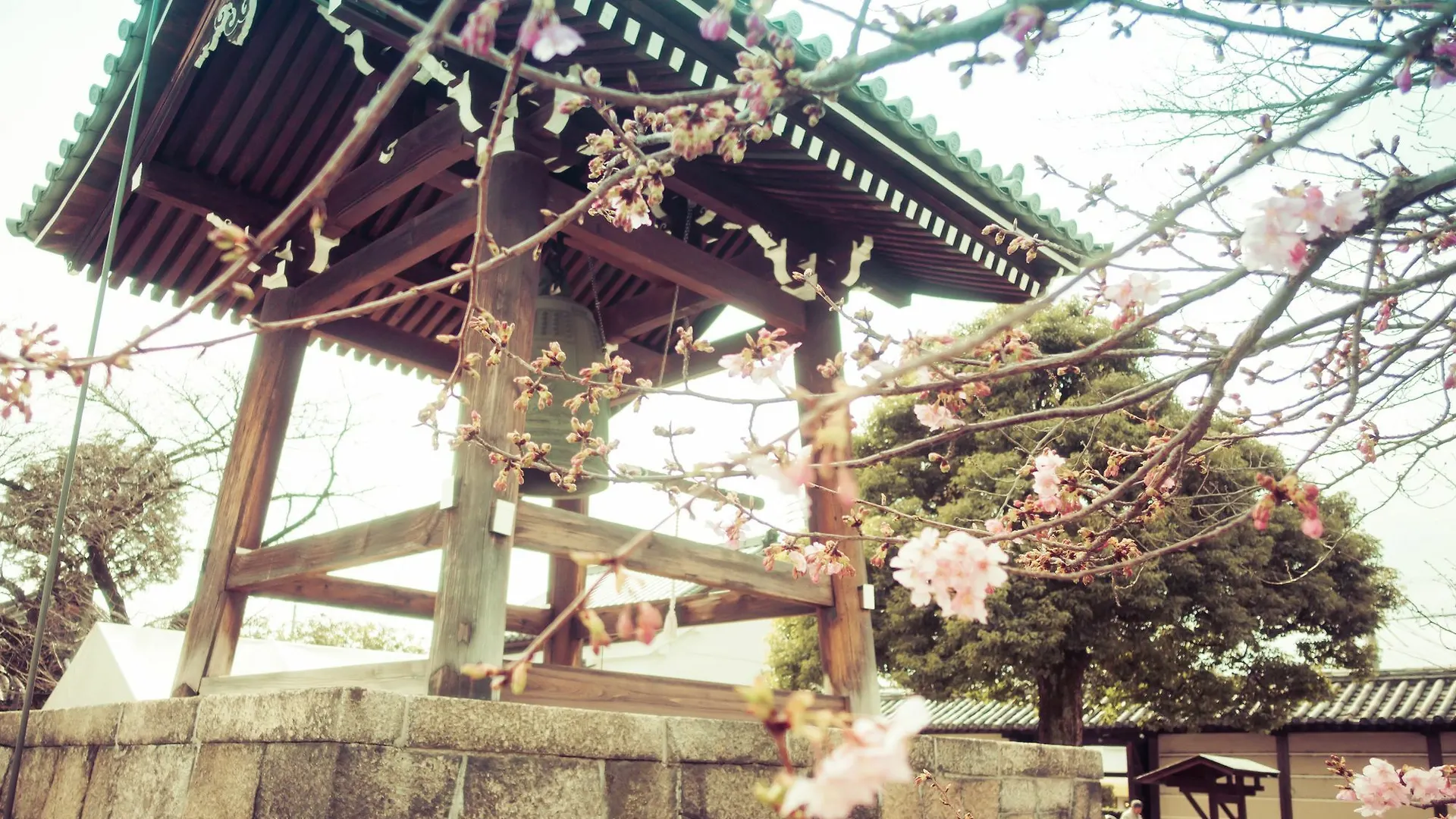 Apartment Stay Sakura Kyoto Toji South II