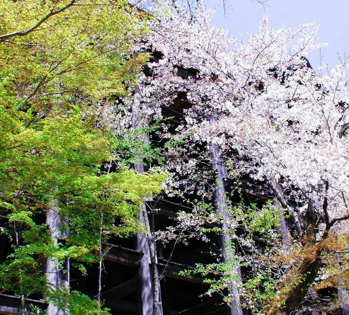 Apartment Stay Sakura Kyoto Toji South II